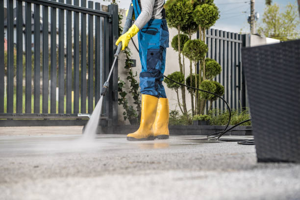 Best Sidewalk and Walkway Cleaning  in Clayton, NJ